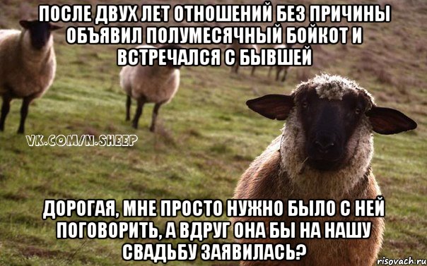 После двух лет отношений без причины объявил полумесячный бойкот и встречался с бывшей Дорогая, мне просто нужно было с ней поговорить, а вдруг она бы на нашу свадьбу заявилась?, Мем  Наивная Овца