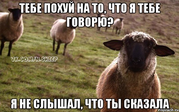 Тебе похуй на то, что я тебе говорю? Я не слышал, что ты сказала, Мем  Наивная Овца