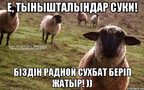 Е, тынышталындар суки! Бiздiн радной сухбат берiп жатыр! )), Мем  Наивная Овца