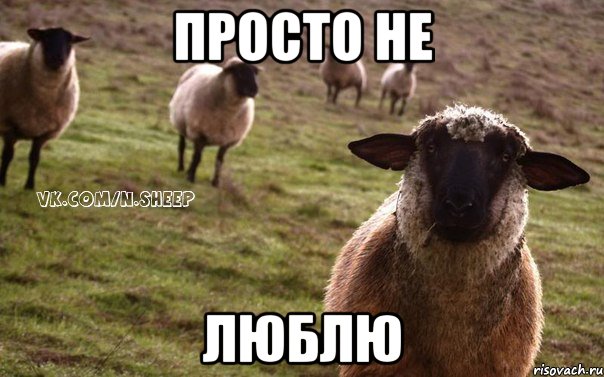 просто не люблю, Мем  Наивная Овца