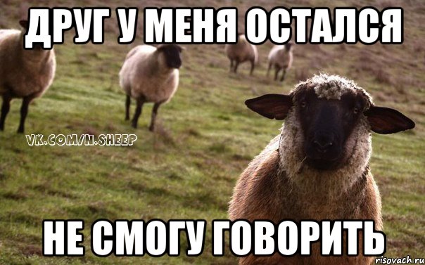 друг у меня остался не смогу говорить