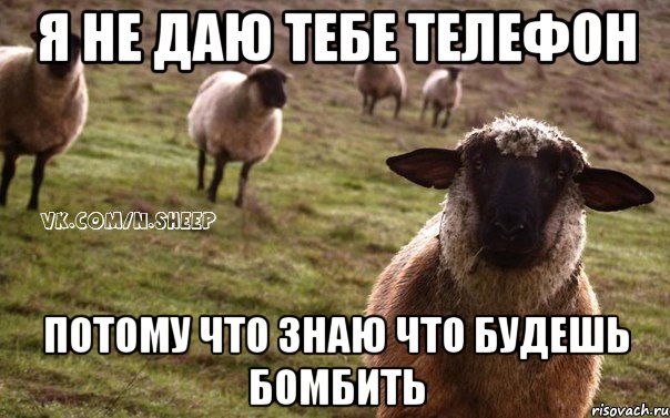 Я не даю тебе телефон потому что знаю что будешь бомбить, Мем  Наивная Овца