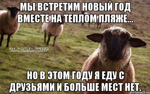 МЫ ВСТРЕТИМ НОВЫЙ ГОД ВМЕСТЕ НА ТЕПЛОМ ПЛЯЖЕ... НО В ЭТОМ ГОДУ Я ЕДУ С ДРУЗЬЯМИ И БОЛЬШЕ МЕСТ НЕТ., Мем  Наивная Овца