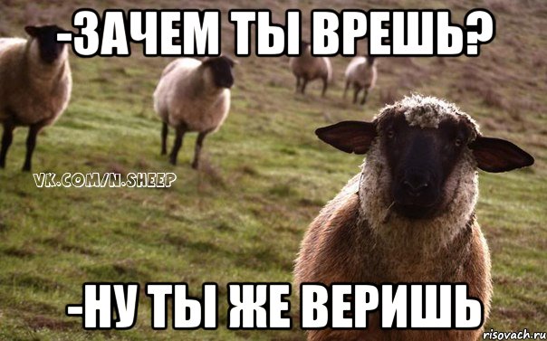 -Зачем ты врешь? -Ну ты же веришь, Мем  Наивная Овца