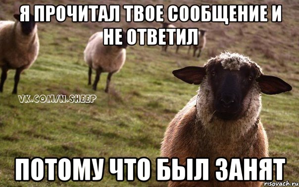 Я прочитал твое сообщение и не ответил потому что был занят, Мем  Наивная Овца