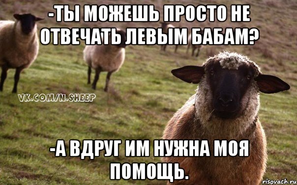 -Ты можешь просто не отвечать левым бабам? -А вдруг им нужна моя помощь., Мем  Наивная Овца