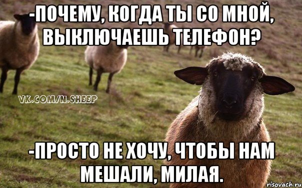 -Почему, когда ты со мной, выключаешь телефон? -Просто не хочу, чтобы нам мешали, милая., Мем  Наивная Овца