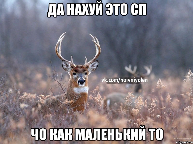 ДА НАХУЙ ЭТО СП ЧО КАК МАЛЕНЬКИЙ ТО, Мем Наивный Олень vk