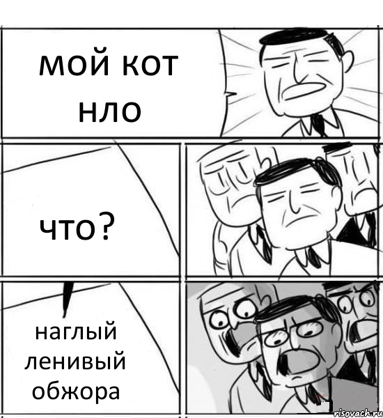 мой кот нло что? наглый ленивый обжора