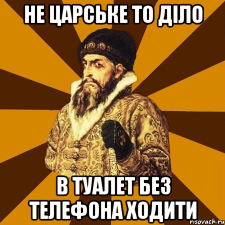 Не царське то діло в туалет без телефона ходити, Мем Не царское это дело