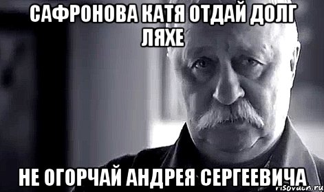 Сафронова Катя отдай долг Ляхе Не огорчай Андрея Сергеевича, Мем Не огорчай Леонида Аркадьевича