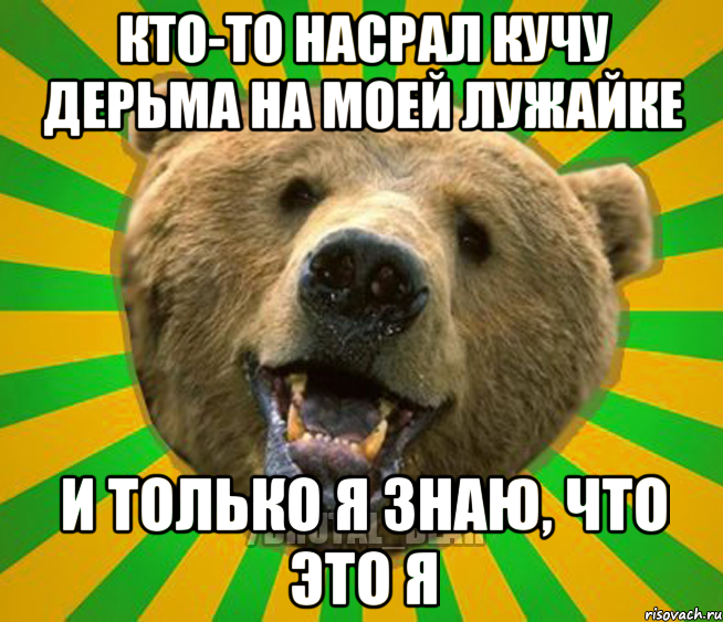 КТО-ТО НАСРАЛ КУЧУ ДЕРЬМА НА МОЕЙ ЛУЖАЙКЕ И ТОЛЬКО Я ЗНАЮ, ЧТО ЭТО Я, Мем Нелепый медведь