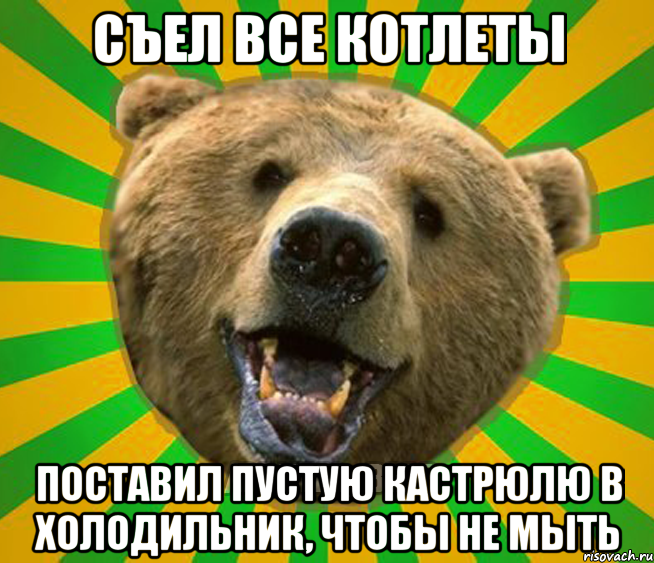 СЪЕЛ ВСЕ КОТЛЕТЫ ПОСТАВИЛ ПУСТУЮ КАСТРЮЛЮ В ХОЛОДИЛЬНИК, ЧТОБЫ НЕ МЫТЬ, Мем Нелепый медведь