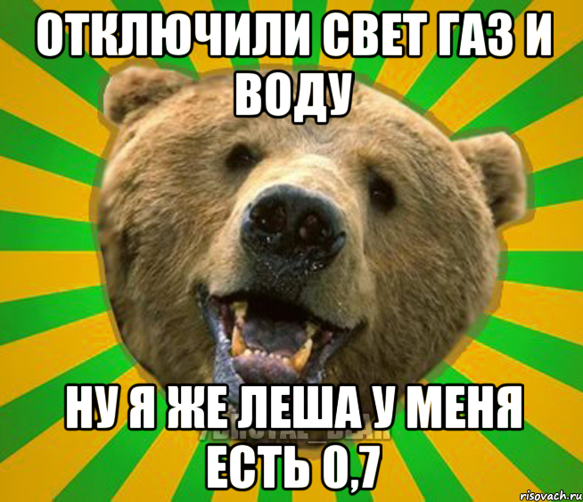 отключили свет газ и воду ну я же леша у меня есть 0,7, Мем Нелепый медведь