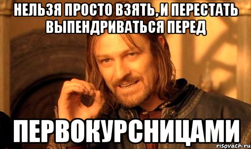 Нельзя просто взять, и перестать выпендриваться перед первокурсницами, Мем Нельзя просто так взять и (Боромир мем)