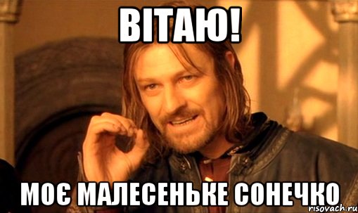 Вітаю! Моє малесеньке сонечко, Мем Нельзя просто так взять и (Боромир мем)