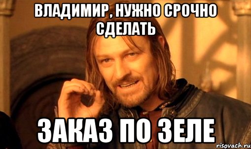 Владимир, нужно срочно сделать заказ по Зеле, Мем Нельзя просто так взять и (Боромир мем)