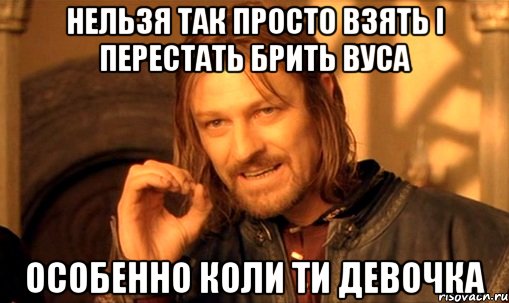 НЕЛЬЗЯ ТАК ПРОСТО ВЗЯТЬ І ПЕРЕСТАТЬ БРИТЬ ВУСА ОСОБЕННО КОЛИ ТИ ДЕВОЧКА, Мем Нельзя просто так взять и (Боромир мем)