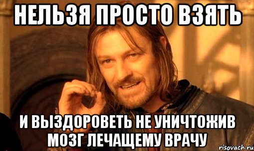Нельзя просто взять и выздороветь не уничтожив мозг лечащему врачу, Мем Нельзя просто так взять и (Боромир мем)
