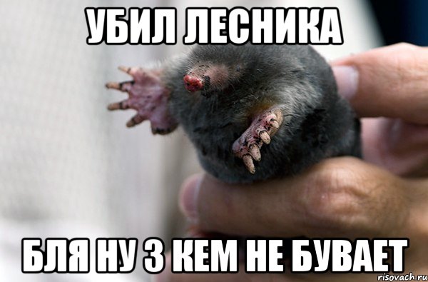 УБИЛ ЛЕСНИКА БЛЯ НУ З КЕМ НЕ БУВАЕТ
