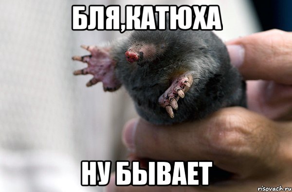 БЛЯ,КАТЮХА НУ БЫВАЕТ, Мем Ну бывает