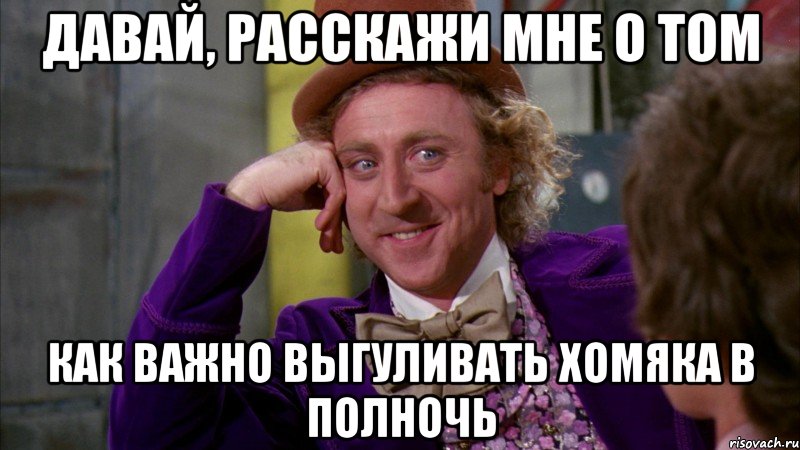 давай, расскажи мне о том как важно выгуливать хомяка в полночь, Мем Ну давай расскажи (Вилли Вонка)
