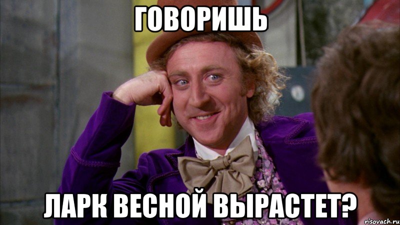 говоришь ларк весной вырастет?, Мем Ну давай расскажи (Вилли Вонка)