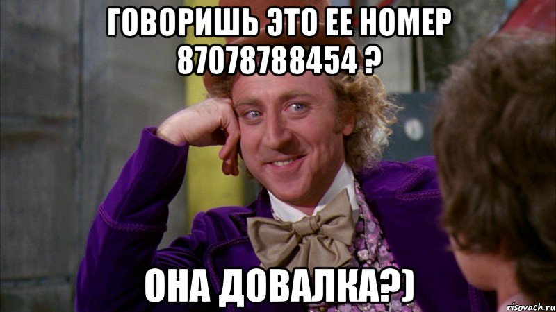 говоришь это ее номер 87078788454 ? она довалка?), Мем Ну давай расскажи (Вилли Вонка)