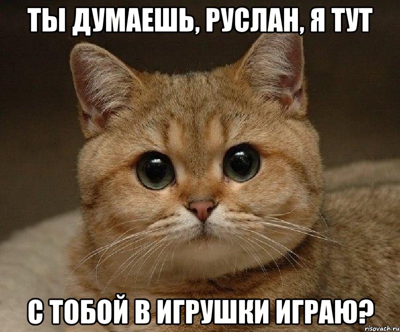 ты думаешь, Руслан, я тут с тобой в игрушки играю?