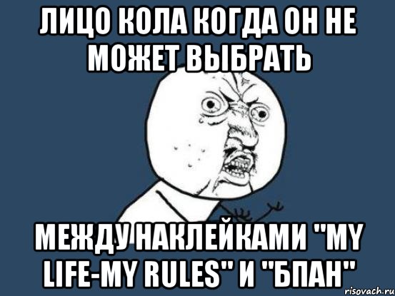 лицо кола когда он не может выбрать между наклейками "My life-My rules" и "БПАН", Мем Ну почему