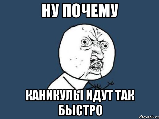 НУ ПОЧЕМУ КАНИКУЛЫ ИДУТ ТАК БЫСТРО, Мем Ну почему
