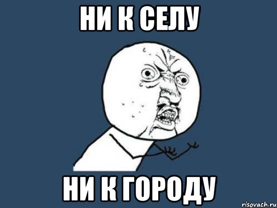 ни к селу ни к городу, Мем Ну почему
