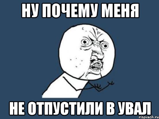 НУ ПОЧЕМУ МЕНЯ НЕ ОТПУСТИЛИ В УВАЛ, Мем Ну почему