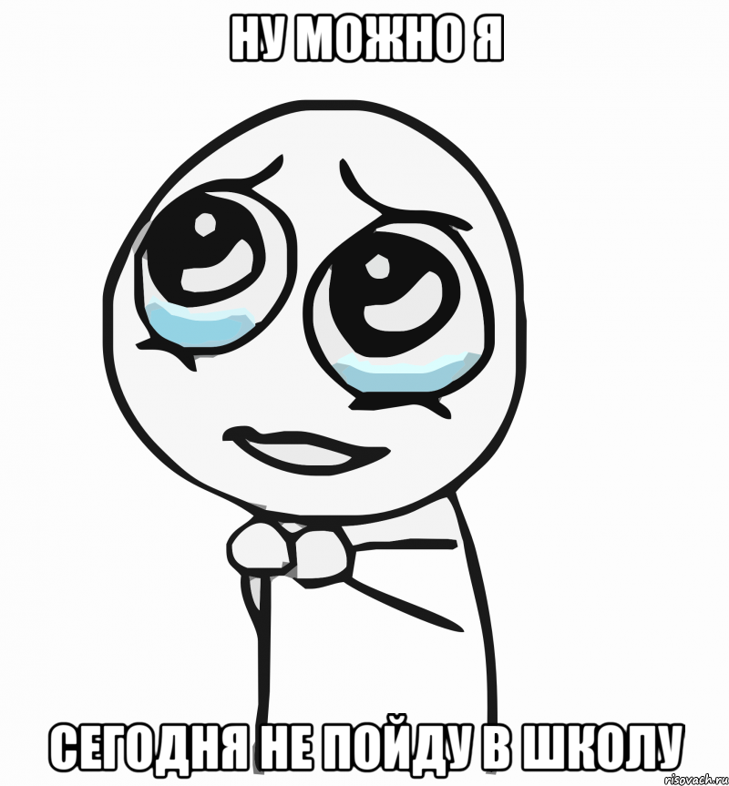 ну можно я сегодня не пойду в школу, Мем  ну пожалуйста (please)