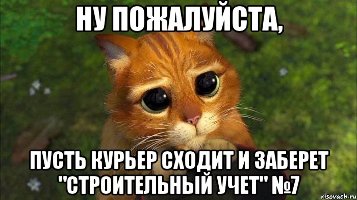 Ну пожалуйста, пусть курьер сходит и заберет "Строительный учет" №7, Мем кот из шрека