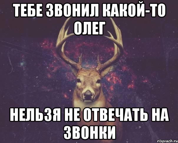 Тебе звонил какой-то Олег Нельзя не отвечать на звонки, Мем  олень наивный