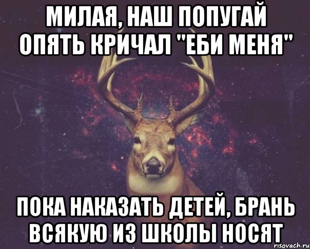 Милая, наш попугай опять кричал "Еби меня" Пока наказать детей, брань всякую из школы носят, Мем  олень наивный