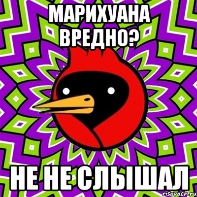 марихуана вредно? не не слышал, Мем Омская птица