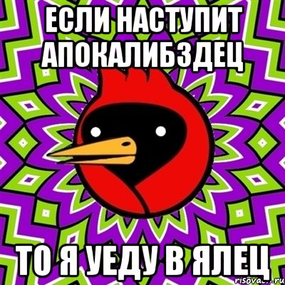 Если наступит Апокалибздец То я уеду в Ялец, Мем Омская птица