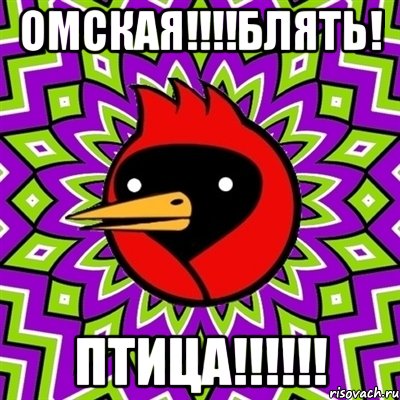 ОМСКАЯ!!!!БЛЯТЬ! ПТИЦА!!!!!!, Мем Омская птица