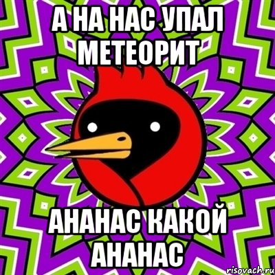 а на нас упал метеорит ананас какой ананас, Мем Омская птица