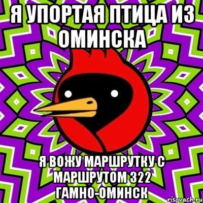 я упортая птица из Оминска я вожу маршрутку с маршрутом 322 Гамно-Оминск, Мем Омская птица