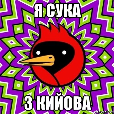 я сука з кийова, Мем Омская птица