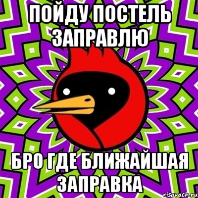 Пойду постель заправлю Бро где ближайшая заправка, Мем Омская птица