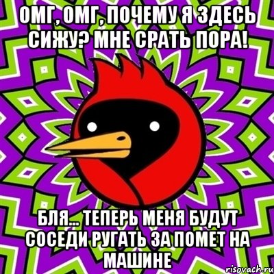 Омг, омг, почему я здесь сижу? Мне срать пора! Бля... Теперь меня будут соседи ругать за помет на машине, Мем Омская птица