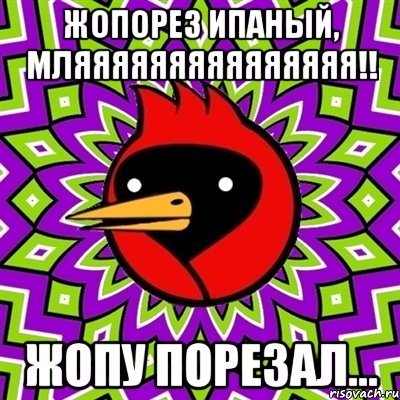 Жопорез ипаный, мляяяяяяяяяяяяяяя!! Жопу порезал..., Мем Омская птица