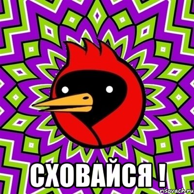  сховайся !, Мем Омская птица