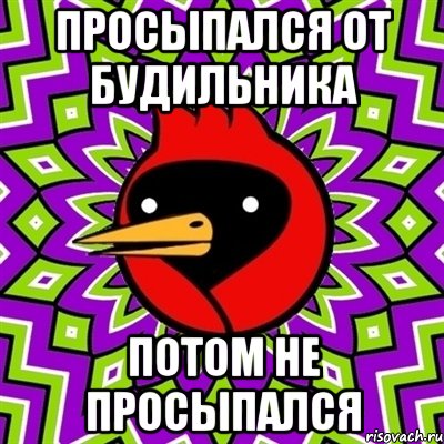 просыпался от будильника потом не просыпался, Мем Омская птица