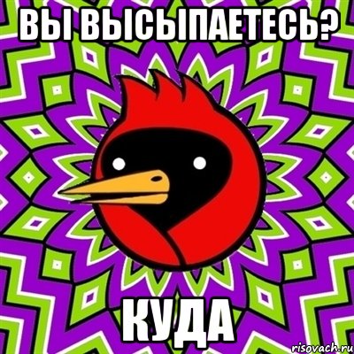 вы высыпаетесь? куда, Мем Омская птица