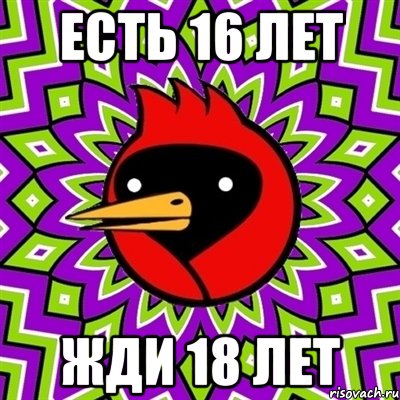 Есть 16 лет Жди 18 лет, Мем Омская птица